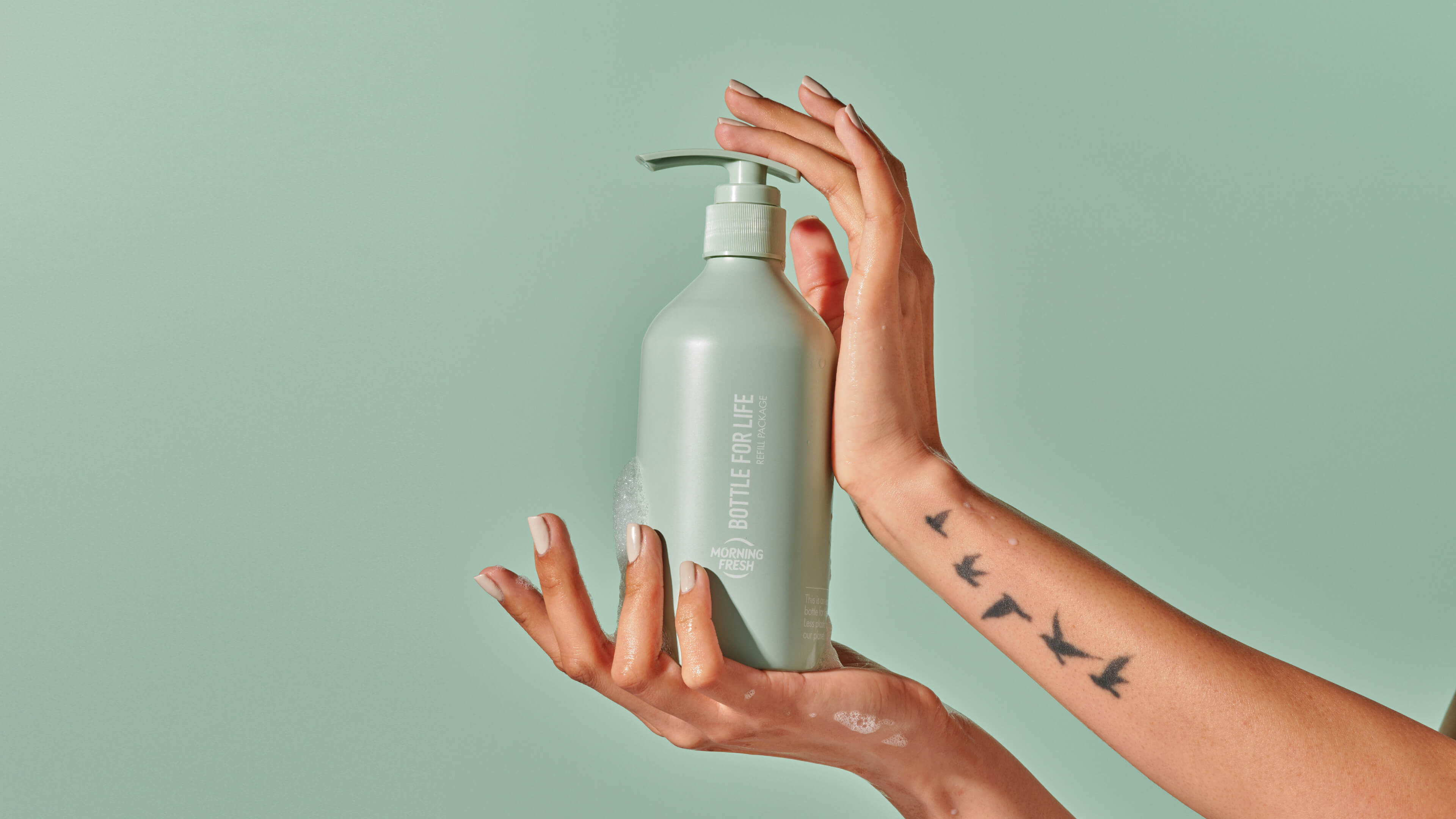 Thumbnail image for project: Morning Fresh